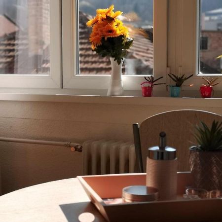 Apartment Skendy Sarajewo Zewnętrze zdjęcie